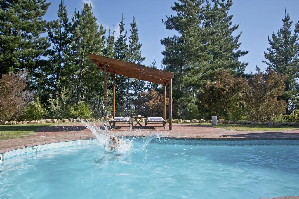 Lalapanzi Lodge Сомерсет-Вест Номер фото