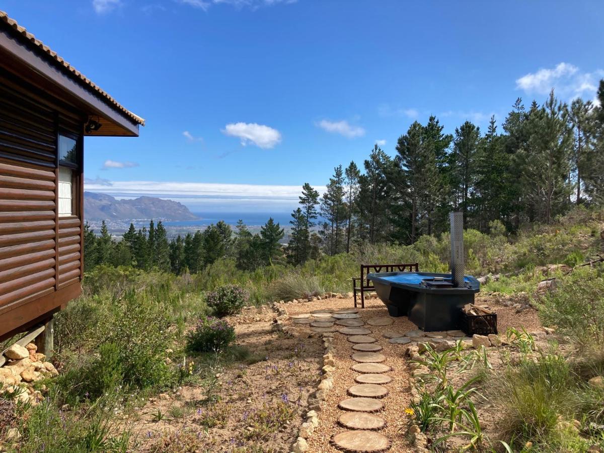 Lalapanzi Lodge Сомерсет-Вест Екстер'єр фото